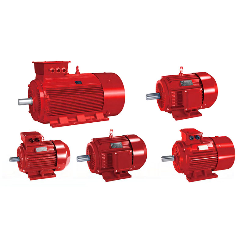 Động cơ cảm ứng ba pha YE3/IE3