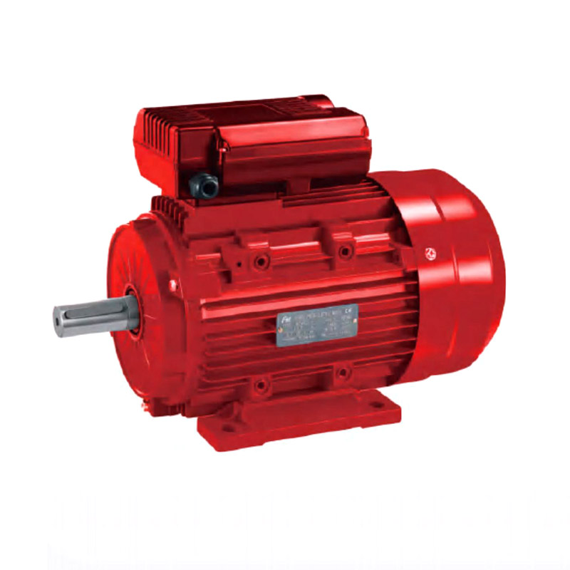 Động cơ cảm ứng tụ điện hai giá trị YL